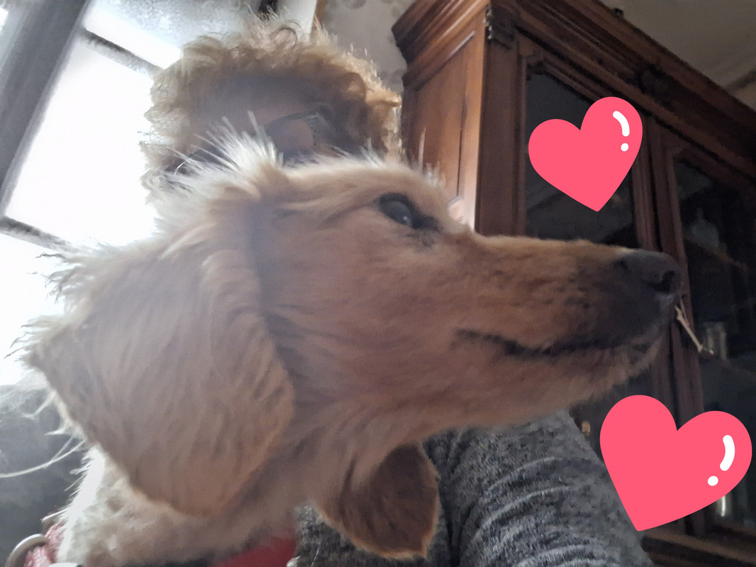 [Image: 20240403-190201.jpg]