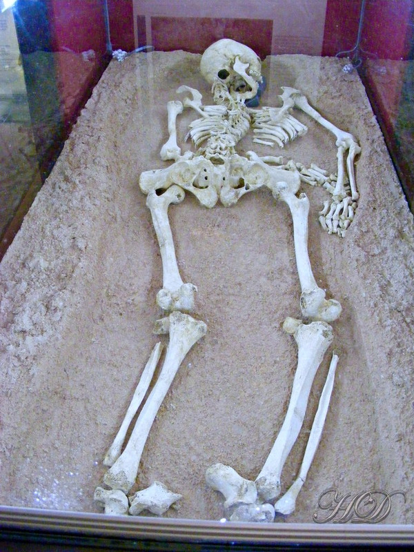 skeleton-HD.jpg