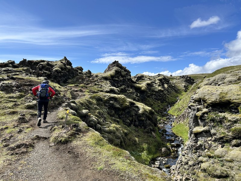 30/06/2025 VUELTA A LAS TIERRAS ALTAS,TREKKING A HULDUFOSS,CAÑON FJADRÁRGLJUFR.. - 2º VIAJE A LA TIERRA DEL HIELO Y FUEGO DE 21 DIAS (en construcción) (27)