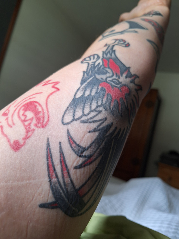 17572758855785554795964191890879