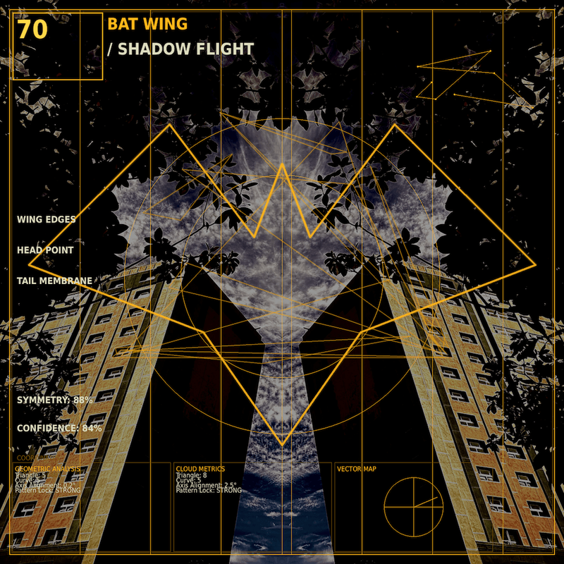 Bat wing