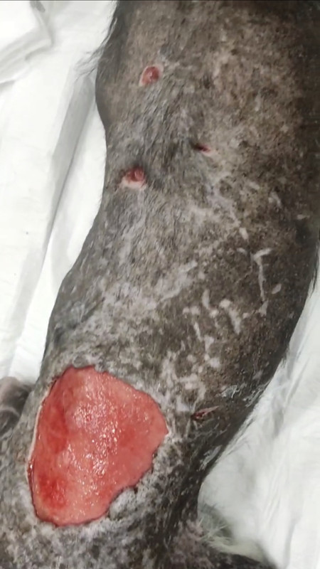 7E143CF1-F550-4DF8-A307-86D12C4BF7F5