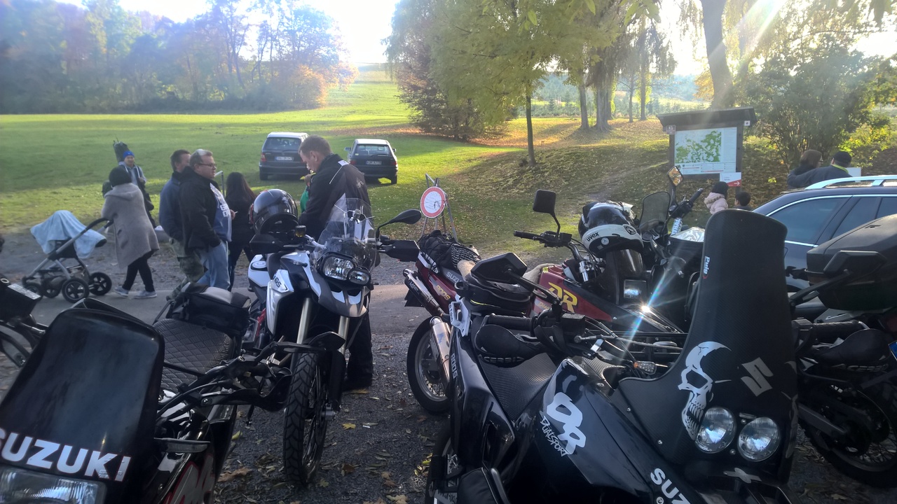 WP_20161101_14_40_19_Rich_LI