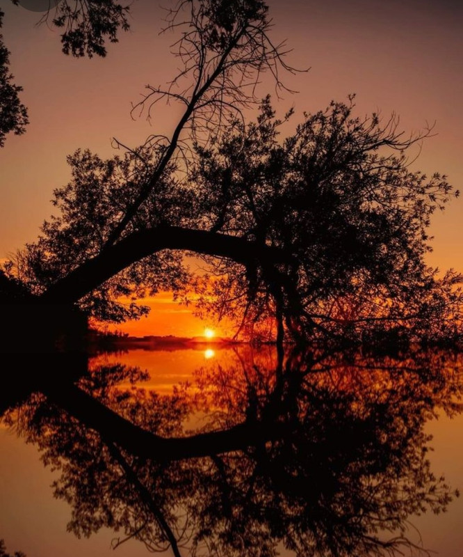 Screenshot_20240320_225116_Pinterest