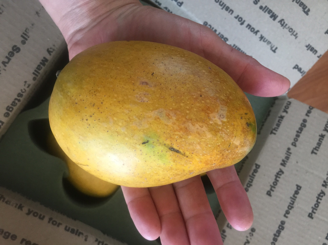 55E2EB8D-30BB-4E6A-86B5-783DD3FD118B