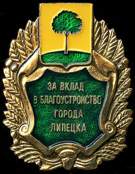 Липецк_за вклад благоустройство