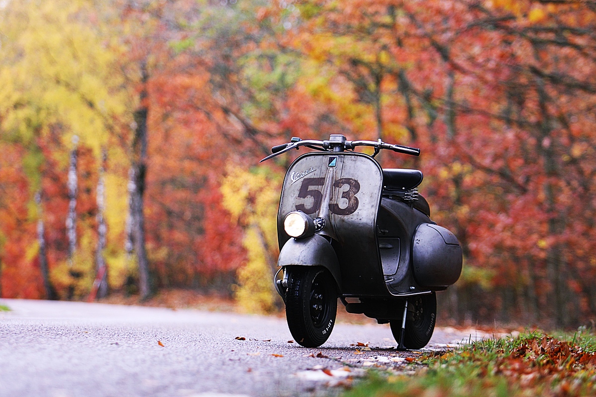 External inline image provided by member with no explanatory text