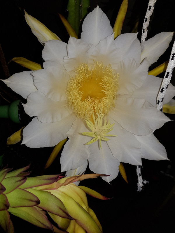 20171020_223447