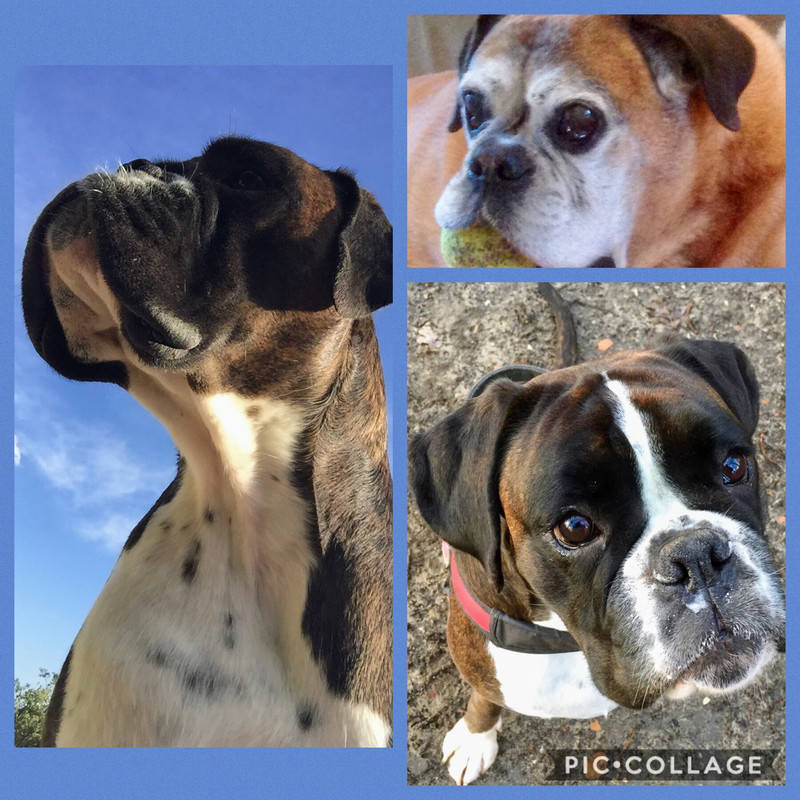 9AD26A34-BE95-4792-BA40-CA172576EB0E