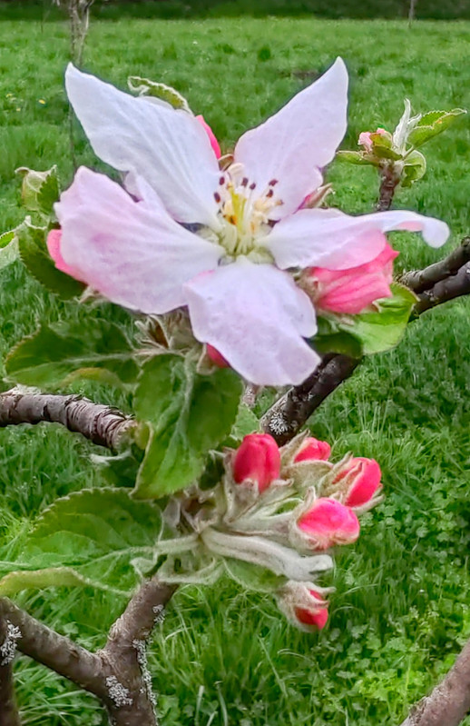 IMG 20260413 191223bb