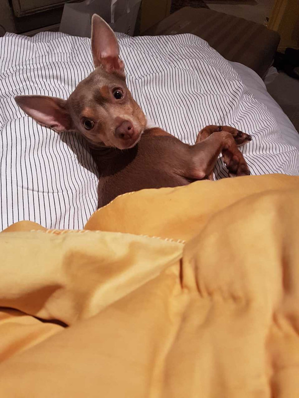 9808C2F9-1E45-4723-99A9-C969D850B891