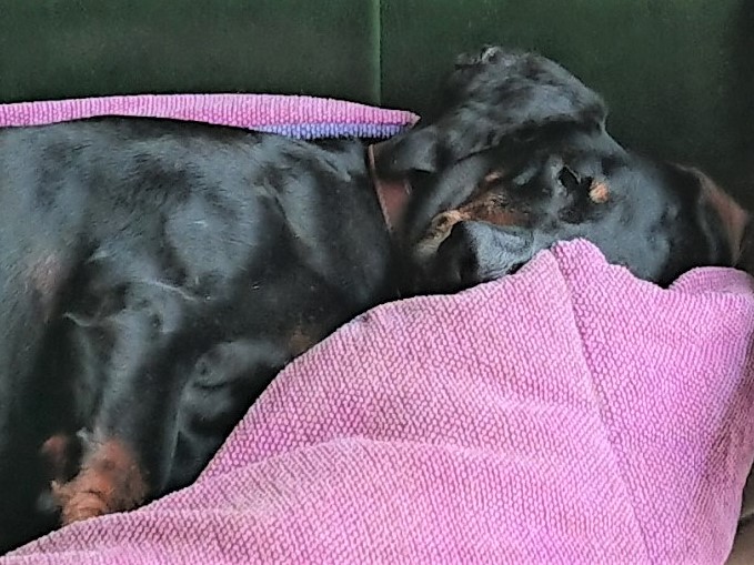 [Image: DSC-1722.jpg]