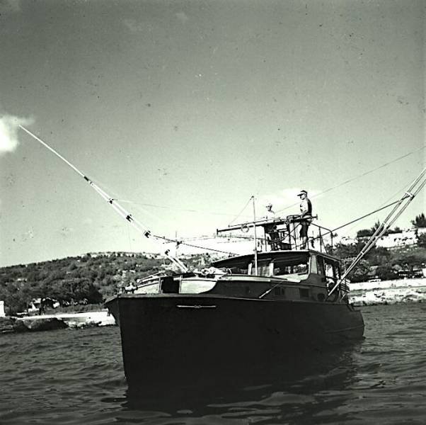 Intrigante-28