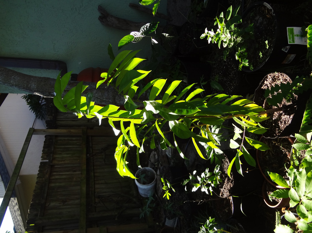 DSC02538