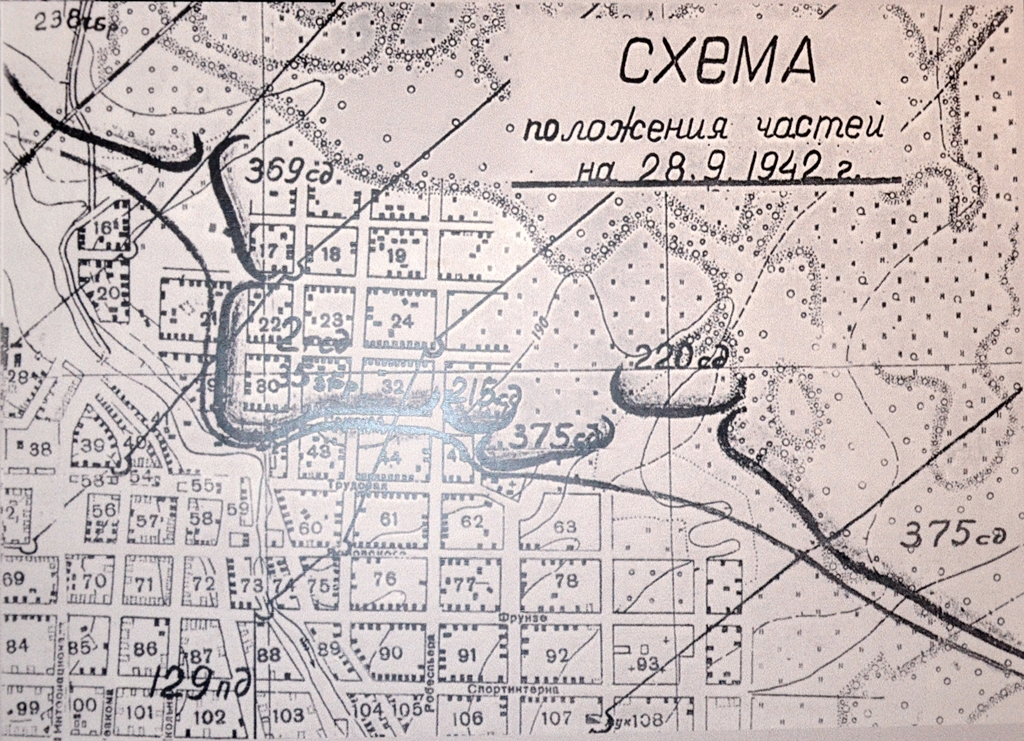 DSC_0019 - копия