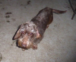 [Image: P1050812.jpg]