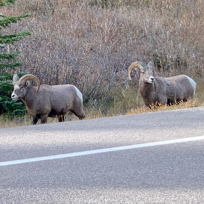 19E26268-D88E-4EF5-909A-4E19D342E95C