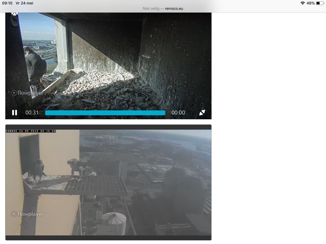 329911F2-B6B5-4190-9EBC-7EDDBEF562EC