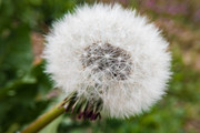 IMG-20190418-082935lr