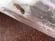 C428A35F-BA9B-47DB-8187-D6B6B03FF297