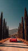 Iconic_Ferrari_F40_on_Italian_countryside_cypress_6e1266f8-6b3f-4fa5-95ed-1fc3a7c0ff89