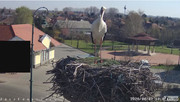 Kép