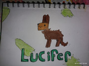 IMG_20231216_070529911