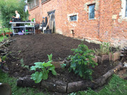 61999119_453597765470543_5148963041060061184_n