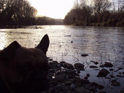 photo 23 2026 01 03 21 19 51