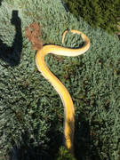 938DABE9-8725-4090-AAD9-AFEBD3E77EF4