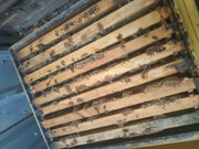 photo_2020-06-16_07-17-04