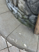 IMG-8316
