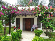 IMG-20191205-065557-1