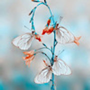 1BCD1CF0-4194-4480-A4DE-9D67FAB2C219