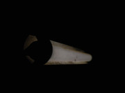 40.3.stupid lamp-cool lamp III