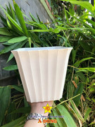 chau-nhua-a-dong (4)