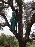 b4173f06e985220ea46115188be47e18