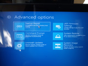 Troubleshooting-Advanced-Options