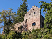 PXL 20250920 141852404