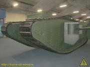 IMG-6819