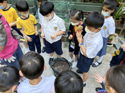 photo-littlefarmer2223-2A-002