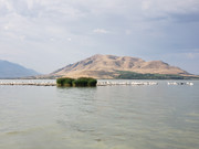 [Image: 20240809-083041.jpg]