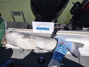 [Image: 32-inches-July-25th-UT-Lake.jpg]