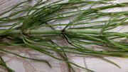 IMG-20200629-183834693-HDR.jpg