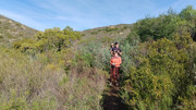 IMG-20251129-131918