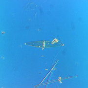 IMG-20260429-142102