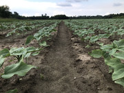 253EEF5C-DDDC-4302-B1A5-0D0CF6F8186B