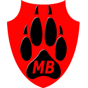 4.3 Медаль МВ 2025