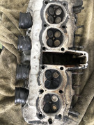 8FbfVLVqRlWL6gVEV5jqqg