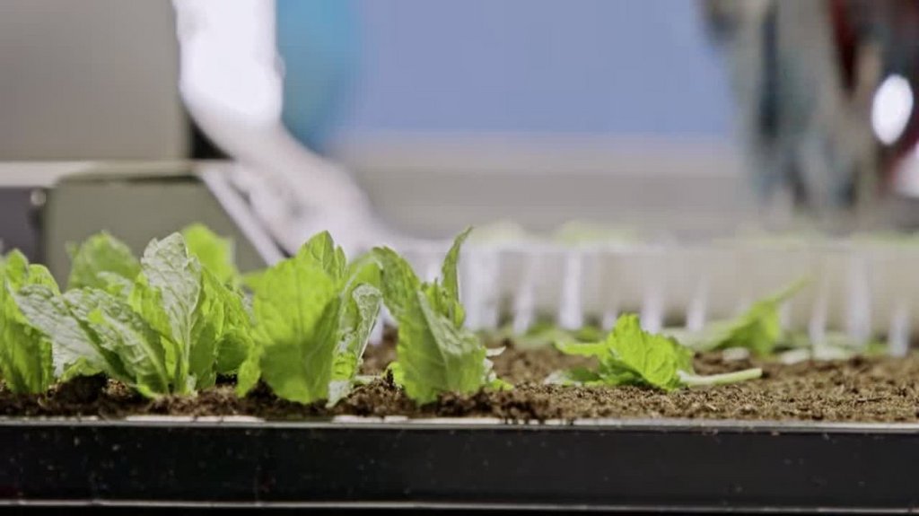 [Image: 9ntqcsi0wt31.jpg]